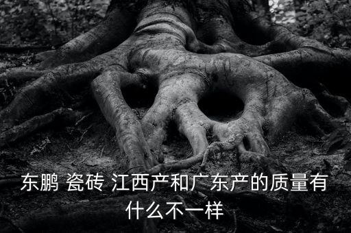 东鹏 瓷砖 江西产和广东产的质量有什么不一样