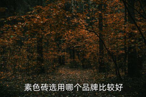  素色砖选用哪个品牌比较好