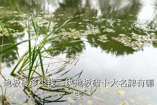 代购品牌瓷砖多少钱,加盟一个瓷砖品牌要多少钱