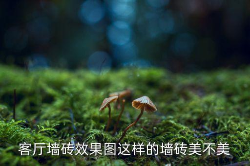 定制瓷砖照片效果图大全,瓷砖美缝效果图大全 颜色搭配