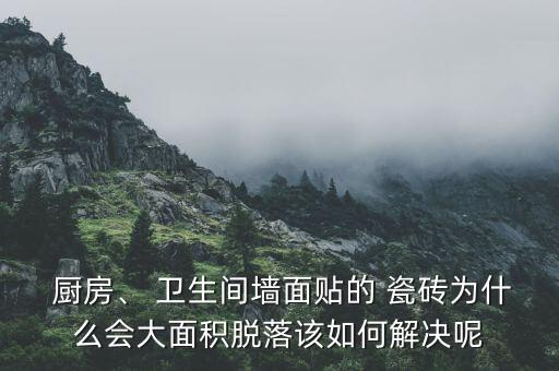  厨房、 卫生间墙面贴的 瓷砖为什么会大面积脱落该如何解决呢