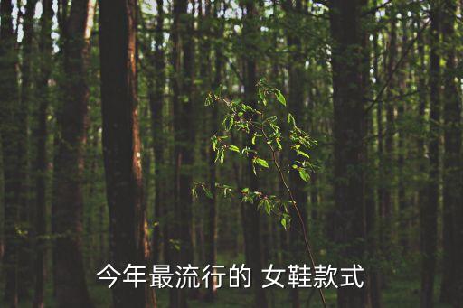 瓷砖品牌女鞋夏凉鞋