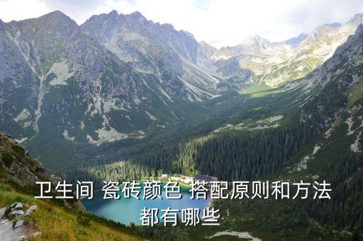 卫生间白色瓷砖怎么搭配