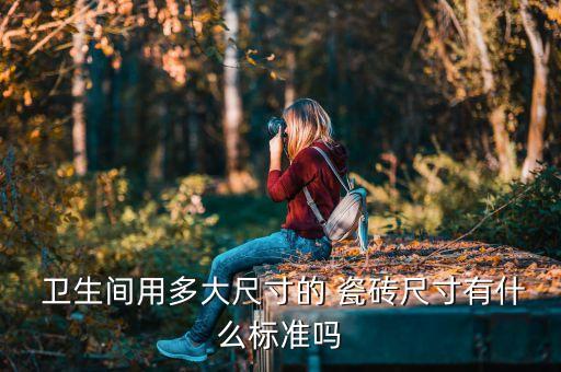  卫生间用多大尺寸的 瓷砖尺寸有什么标准吗
