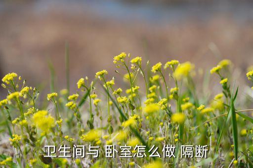 客厅卧室瓷砖隔断效果图