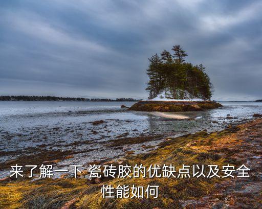 来了解一下 瓷砖胶的优缺点以及安全性能如何