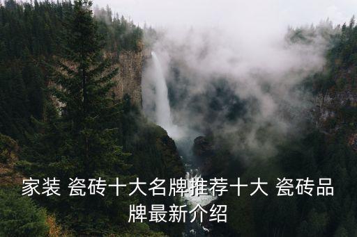 装修瓷砖有几种品牌型号,瓷砖装修效果图大全