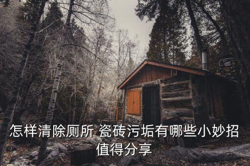 怎样清除厕所 瓷砖污垢有哪些小妙招值得分享