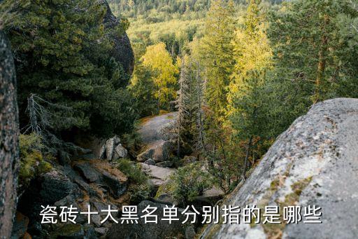  瓷砖十大黑名单分别指的是哪些