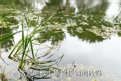 卫生间水泥板可以贴瓷砖吗