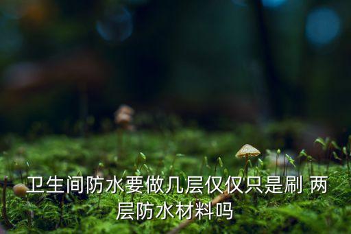 卫生间瓷砖能铺两层吗