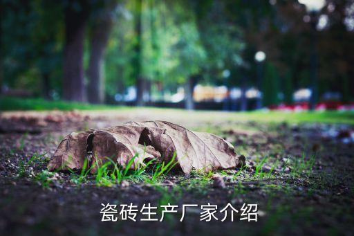 夹江瓷砖是什么品牌的