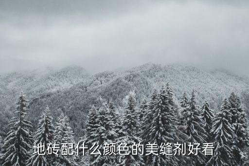 地砖配什么颜色的美缝剂好看