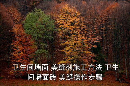 卫生间瓷砖美缝填充