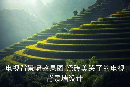 电视背景墙效果图 瓷砖美哭了的电视背景墙设计