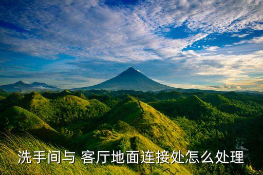 客厅卫生间门口瓷砖,卫生间和客厅瓷砖可以用同一款颜色吗
