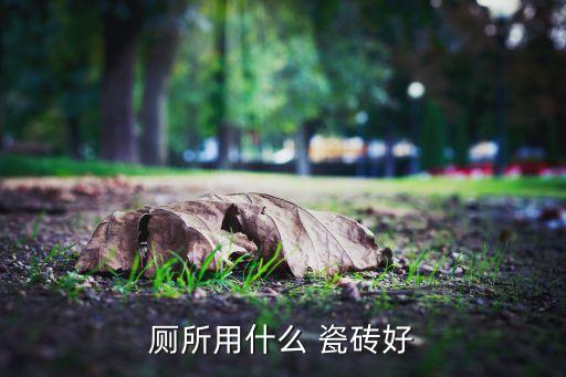 厕所用什么 瓷砖好