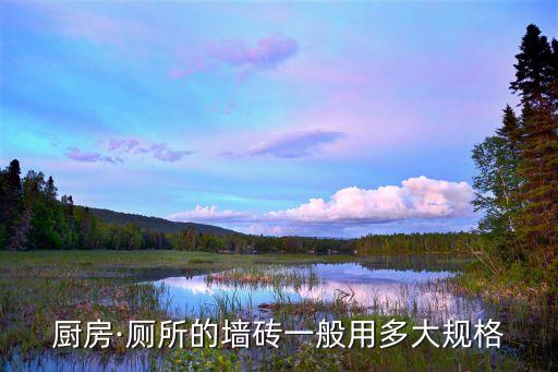 厨房·厕所的墙砖一般用多大规格