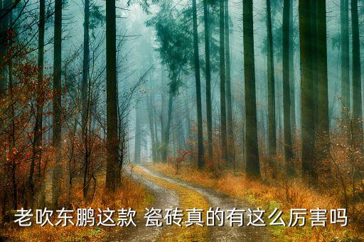 碎瓷砖品牌测评报告表