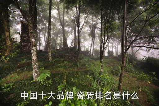 中国十大品牌 瓷砖排名是什么