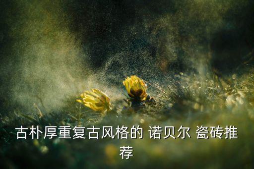 诺贝尔卫生间瓷砖白露