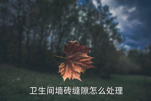  卫生间墙砖缝隙怎么处理