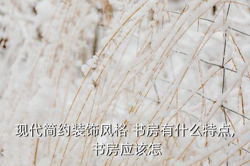现代简约装饰风格 书房有什么特点, 书房应该怎