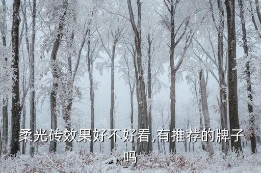 柔光瓷砖哪些品牌好用,柔光砖十大品牌