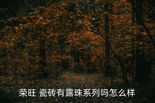 荣旺 瓷砖有露珠系列吗怎么样