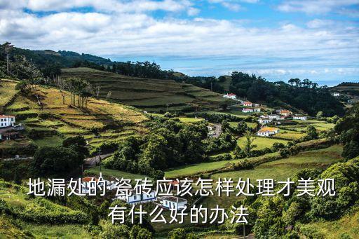  地漏处的 瓷砖应该怎样处理才美观有什么好的办法