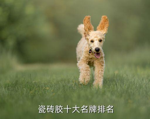 瓷砖强力胶品牌招商,广东十大瓷砖品牌招商加盟