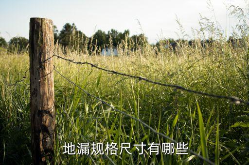  地漏规格尺寸有哪些