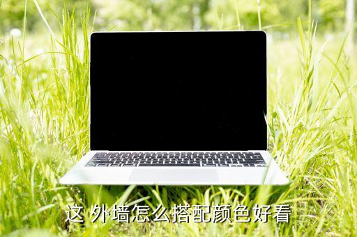 这 外墙怎么搭配颜色好看