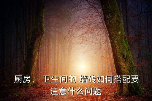  厨房、 卫生间的 墙砖如何搭配要注意什么问题