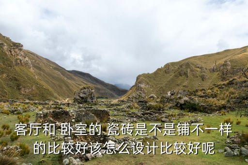 客厅和 卧室的 瓷砖是不是铺不一样的比较好该怎么设计比较好呢