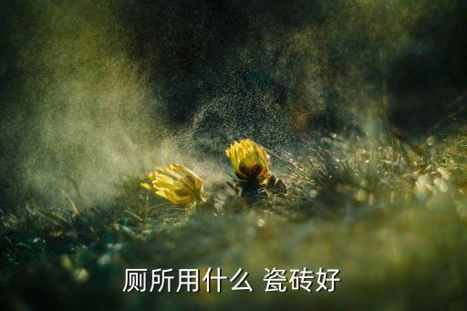 简中卫生间瓷砖,卫生间用什么颜色的瓷砖效果好