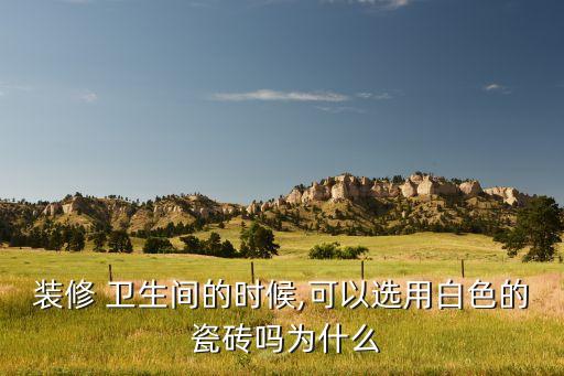 装修 卫生间的时候,可以选用白色的 瓷砖吗为什么