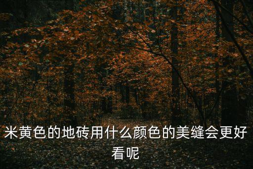 米黄花片瓷砖效果图