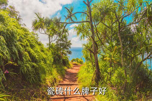 毛毯瓷砖推荐品牌