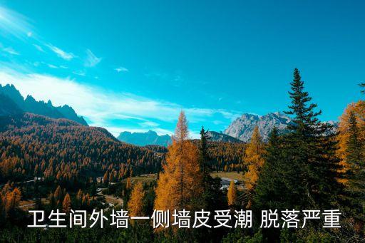  卫生间外墙一侧墙皮受潮 脱落严重