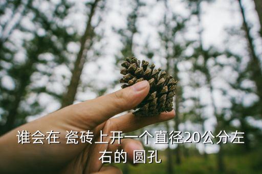 谁会在 瓷砖上开一个直径20公分左右的 圆孔