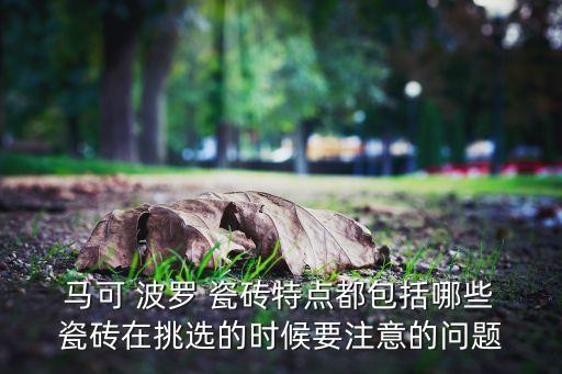  马可 波罗 瓷砖特点都包括哪些 瓷砖在挑选的时候要注意的问题