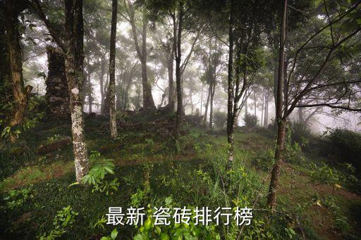 最新 瓷砖排行榜