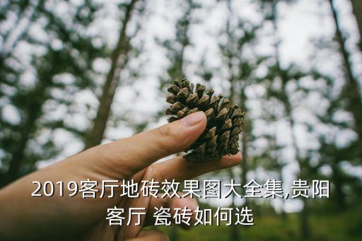 便宜的瓷砖装修效果图,深灰色瓷砖客厅装修效果图