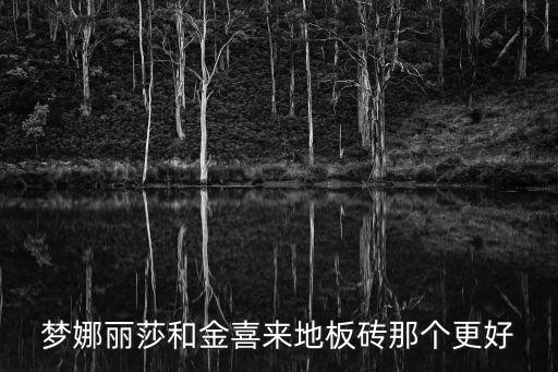 梦娜丽莎和金喜来地板砖那个更好