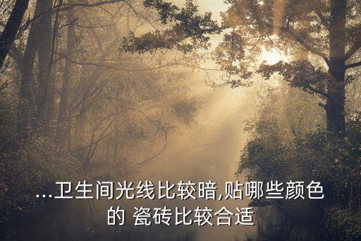 ...卫生间光线比较暗,贴哪些颜色的 瓷砖比较合适