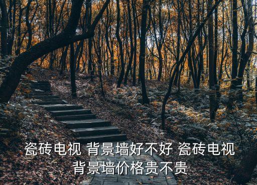  瓷砖电视 背景墙好不好 瓷砖电视 背景墙价格贵不贵