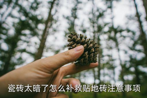  瓷砖太暗了怎么补救贴地砖注意事项