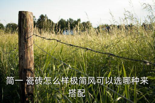 简一 瓷砖怎么样极简风可以选哪种来搭配