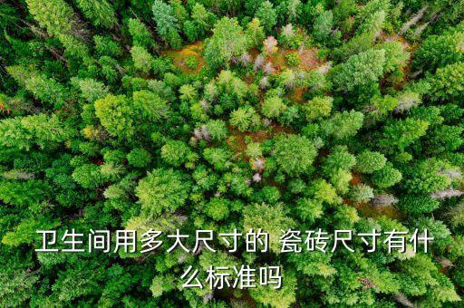  卫生间用多大尺寸的 瓷砖尺寸有什么标准吗